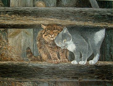 Barn cats - Barn cats by William Berge